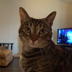 Meet your Posher, Kari